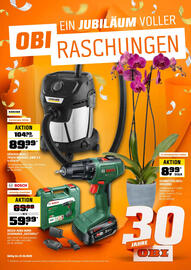 OBI Flugblatt Seite 1