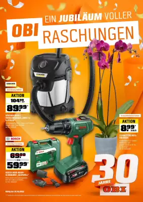 OBI Flugblatt (gültig bis 31-10)