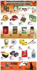 Rural King weekly ad Page 4