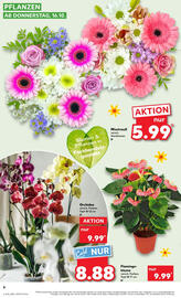 Kaufland Prospekt woche 42 Seite 6