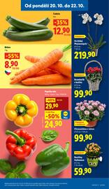 Lidl leták Strana 9