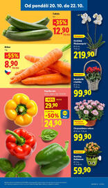 Lidl leták Strana 9