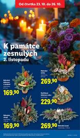 Lidl leták Strana 29