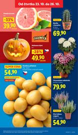 Lidl leták Strana 9