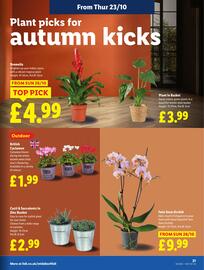 Lidl leaflet week 43 Page 21