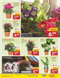 Netto Marken-Discount Prospekt woche 43 Seite 7