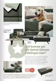 Möbel Brucker Prospekt Seite 43