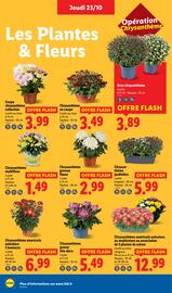 Catalogue Lidl semaine 43 page 26