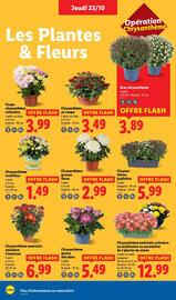 Catalogue Lidl semaine 43 page 26