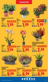 Catalogue Lidl semaine 43 page 27