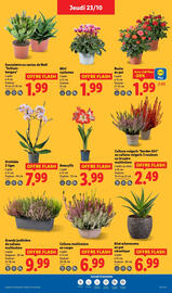 Catalogue Lidl semaine 43 page 27
