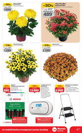 Auchan akciós újság hét 42 Oldal 47