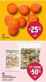 AD Delhaize folder week 42 Pagina 10