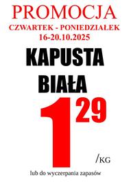 Wizan gazetka tydzień 42 Strona 4
