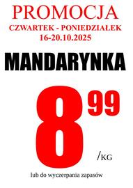 Wizan gazetka tydzień 42 Strona 5