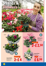 Lidl leaflet week 43 Page 22