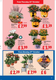 Lidl leaflet week 43 Page 23