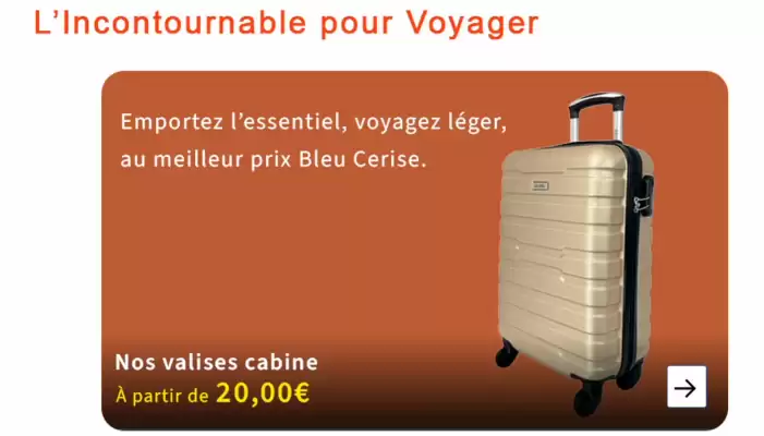 Catalogue Bleu Cerise (valable jusqu'au 9-11)