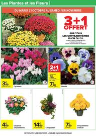 Catalogue Carrefour Drive page 31