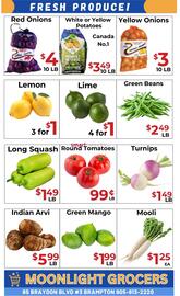Moonlight Grocers flyer week 42 Page 5