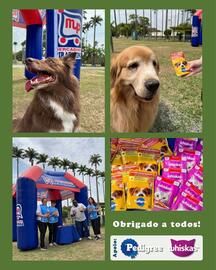Catálogo Mercadinho Piratininga semana 42 Página 1