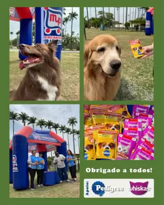 Catálogo Mercadinho Piratininga (válido até 22-10)
