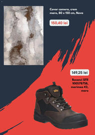 Catalog Brico Depôt Pagină 6