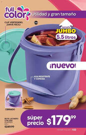 Catálogo Fuller Página 103