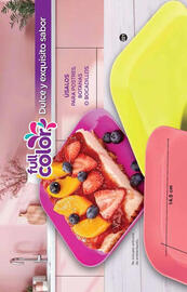 Catálogo Fuller Página 108