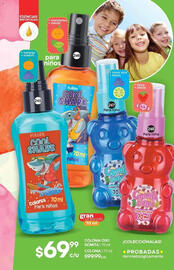 Catálogo Fuller Página 120