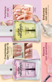 Catálogo Fuller Página 132