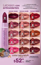 Catálogo Fuller Página 136