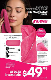 Catálogo Fuller Página 157