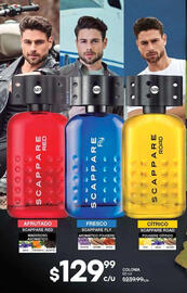 Catálogo Fuller Página 176