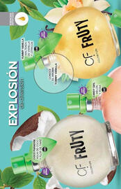 Catálogo Fuller Página 184