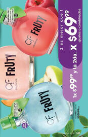 Catálogo Fuller Página 185