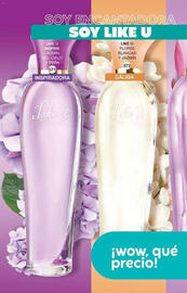 Catálogo Fuller Página 202