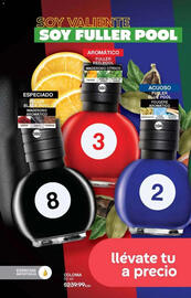 Catálogo Fuller Página 212