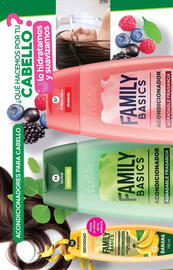 Catálogo Fuller Página 26