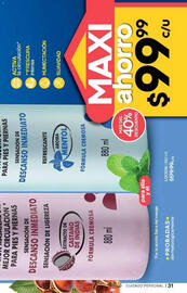 Catálogo Fuller Página 31