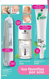 Catálogo Fuller Página 32