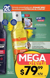 Catálogo Fuller Página 41