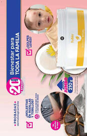 Catálogo Fuller Página 42