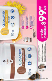 Catálogo Fuller Página 43