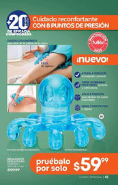 Catálogo Fuller Página 45