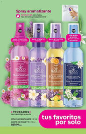 Catálogo Fuller Página 48