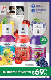 Catálogo Fuller Página 63