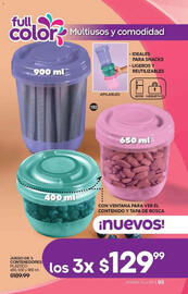 Catálogo Fuller Página 93