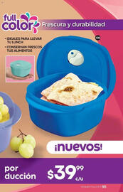 Catálogo Fuller Página 95