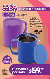 Catálogo Fuller Página 97